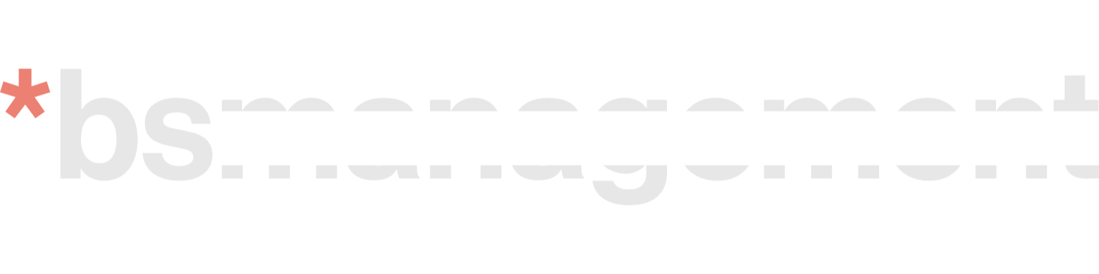 bsmanagement logotype